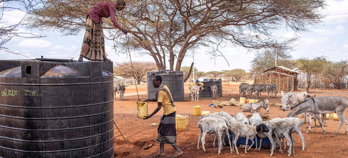 FAO launches $138 million plan to avert hunger crisis in Horn of Africa ...