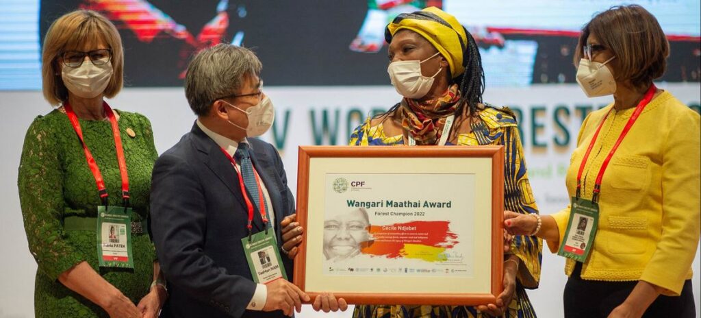 Champion of women’s right to manage land and forests wins top environment prize
