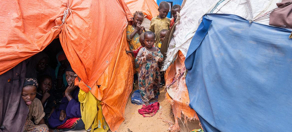 Somalia: .6 billion appeal to aid millions still on the brink of famine