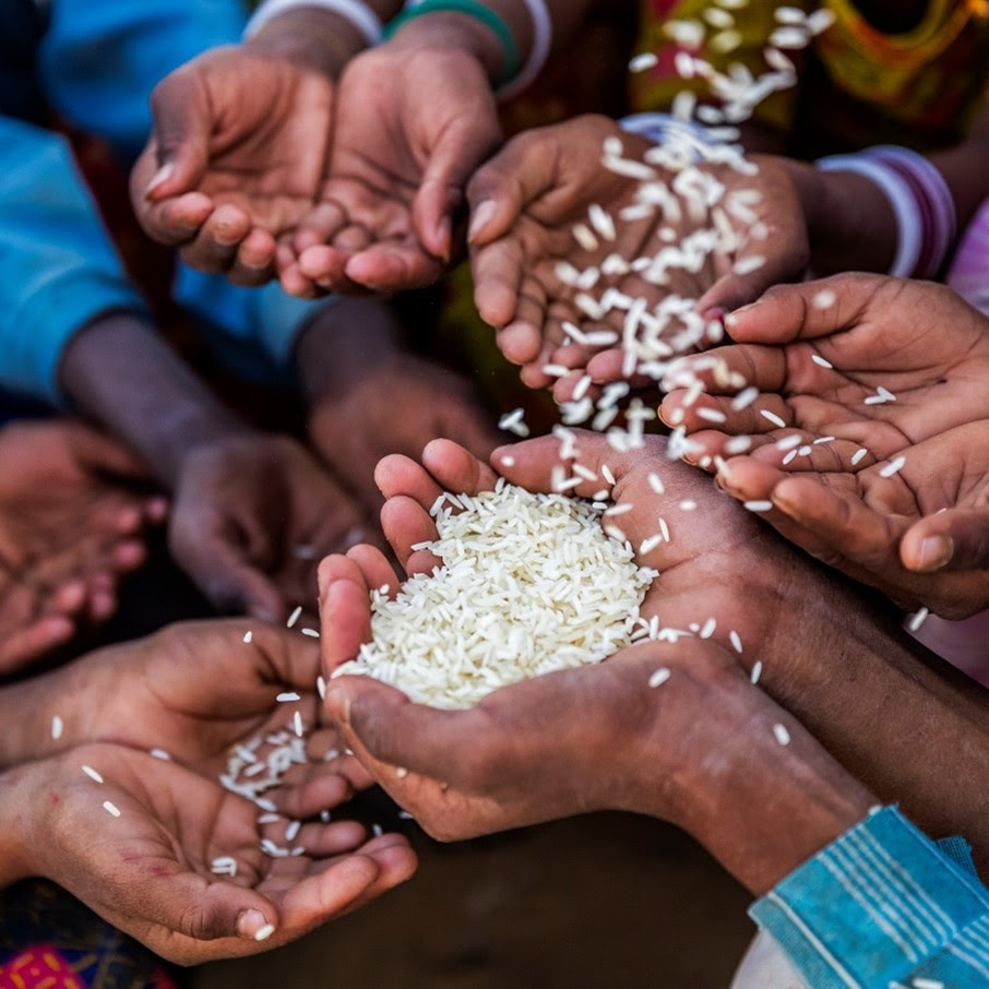 Bühler and dsm-firmenich join forces to advance efforts to combat hidden hunger in Nigeria