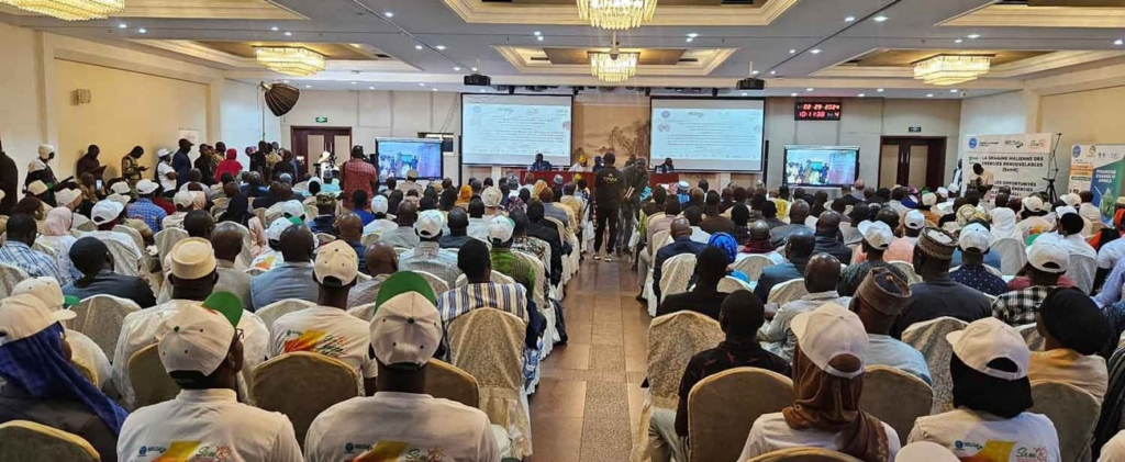 Mali: Partners and key players commit to developing renewables sector at opening of 3rd Renewable Energies Week