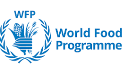WFP brings food security to the big screen through moving cinema campaign in Egypt