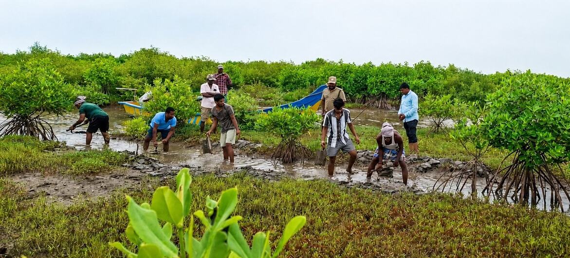 Africans bear the brunt of biodiversity loss